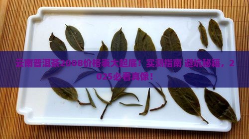 云南普洱茶2008价格表