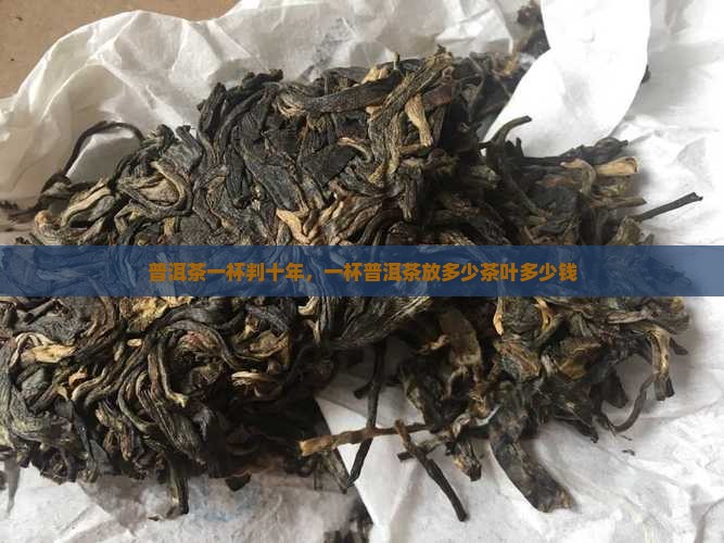 普洱茶一杯判十年