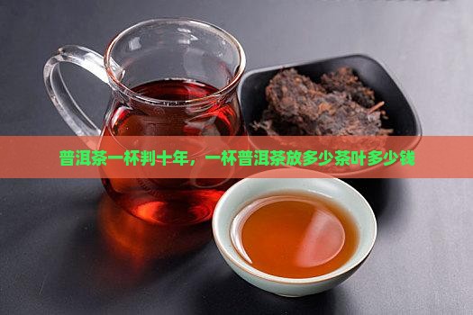 普洱茶一杯判十年