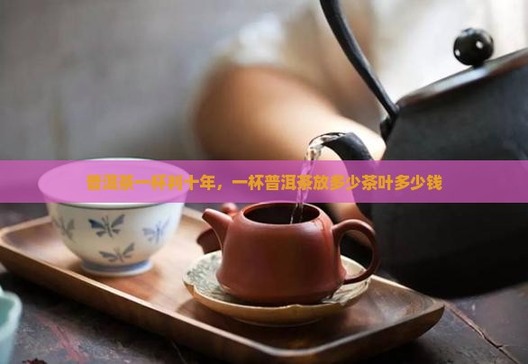 普洱茶一杯判十年