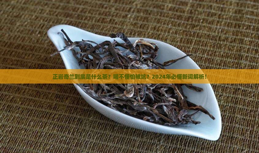正岩奇兰是什么茶