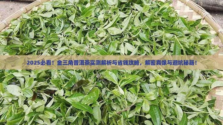 金三角的普洱茶有哪些