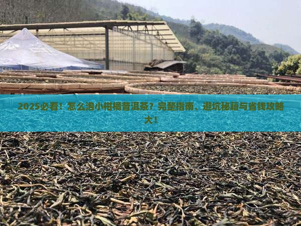 怎么泡小柑橘普洱茶 怎么泡小柑橘普洱茶