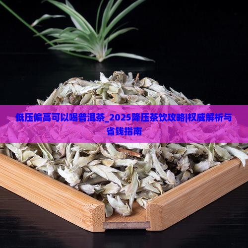 低压偏高可以喝普洱茶