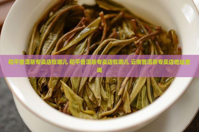 和平普洱茶专卖店在哪儿