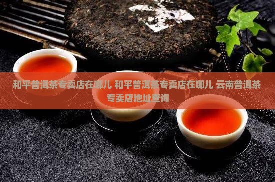 和平普洱茶专卖店在哪儿