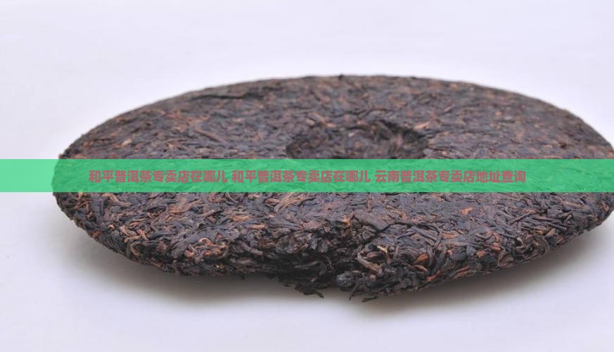 和平普洱茶专卖店在哪儿