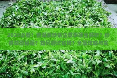 普洱茶炒茶的注意事项及禁忌
