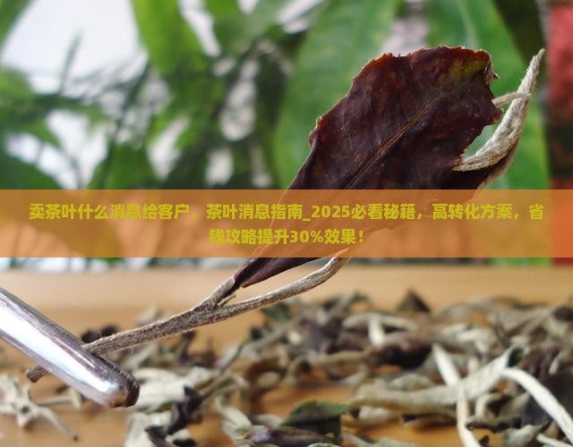 卖茶叶群发什么消息给客户