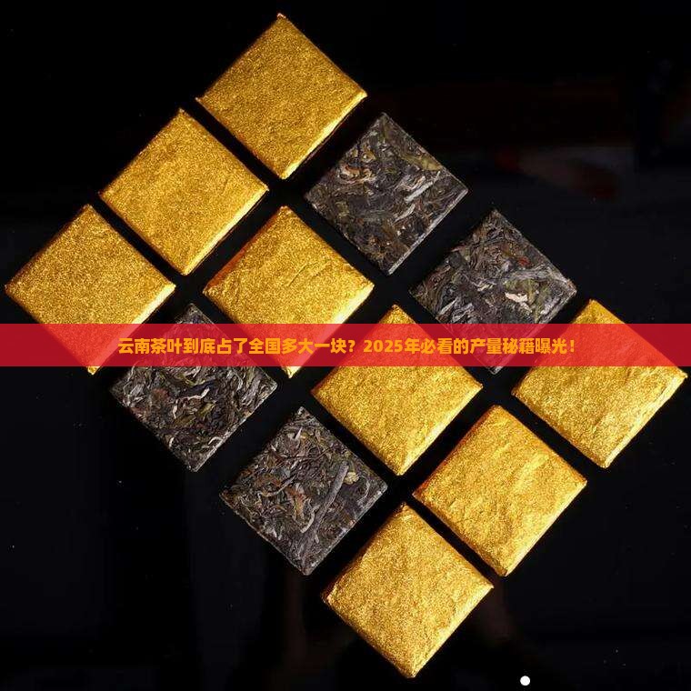 云南茶叶产量占比