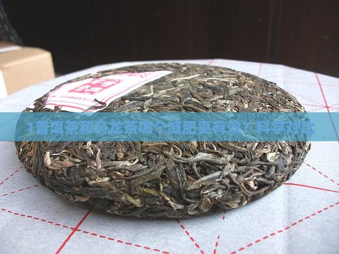 1普洱茶和乌龙茶哪个减肥