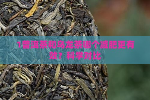 1普洱茶和乌龙茶哪个减肥