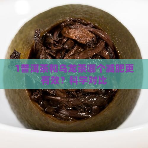 1普洱茶和乌龙茶哪个减肥