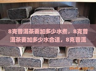 8克普洱茶要加多少水