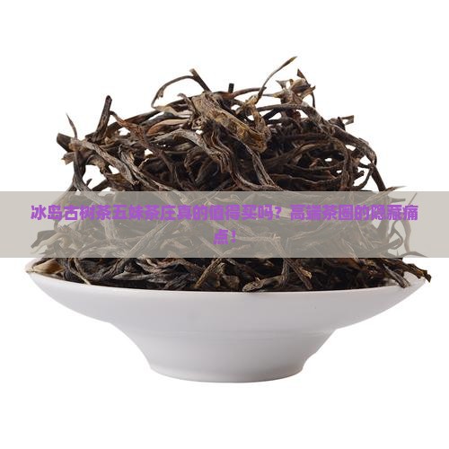 冰岛古树茶五妹茶庄