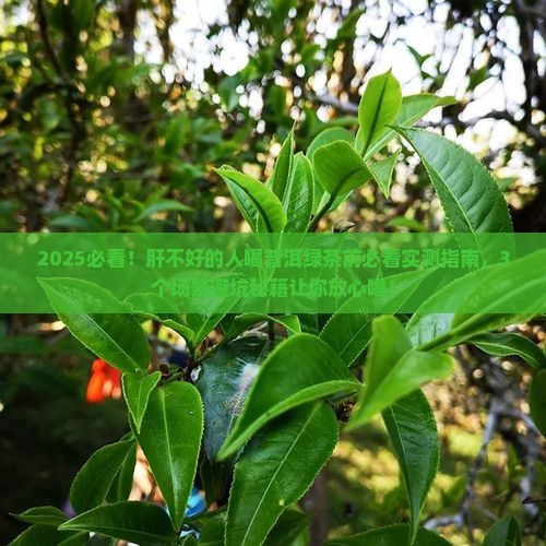 肝不好能喝普洱茶绿茶不