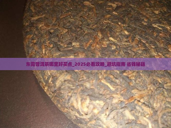 东莞普洱茶哪里好买点