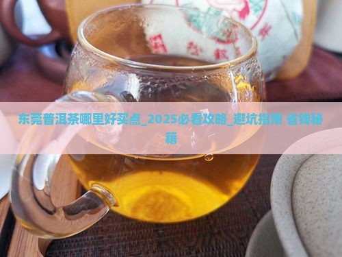 东莞普洱茶哪里好买点