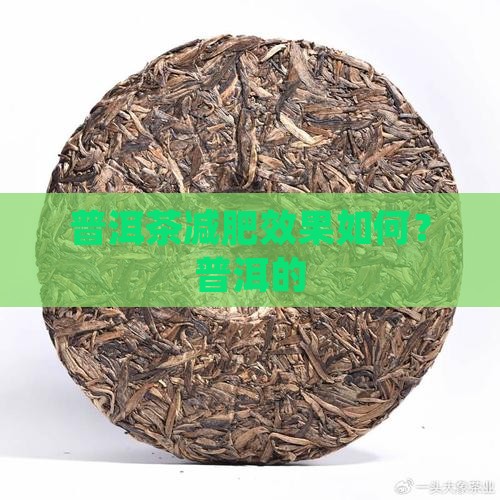 喝柑橘普洱茶能减肥吗