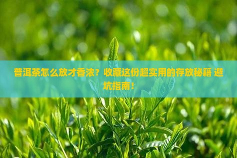 普洱茶怎么放才能香浓