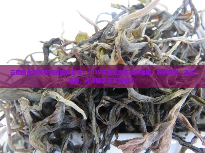 云南的金瓜贡茶