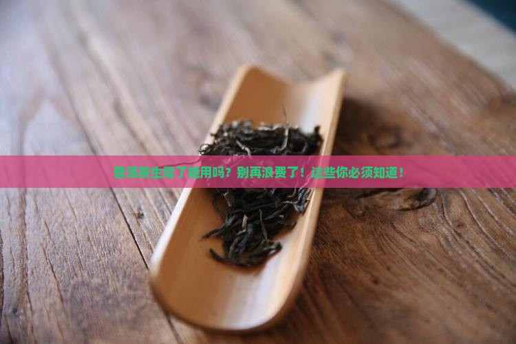 普洱茶生霉了能用吗