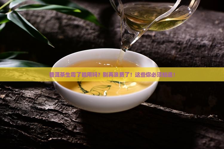 普洱茶生霉了能用吗