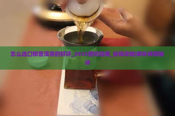怎么选口粮普洱茶的好坏