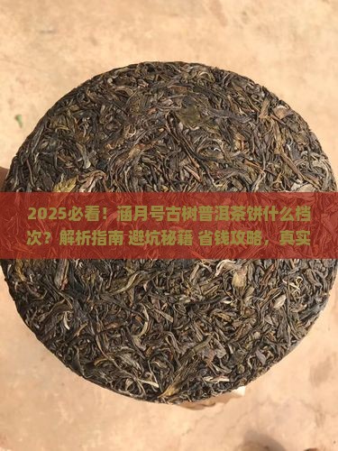 涵月号古树普洱茶饼什么档次