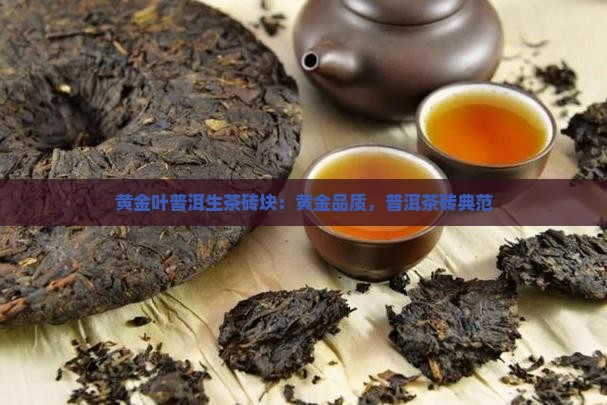 黄金叶普洱生茶砖块