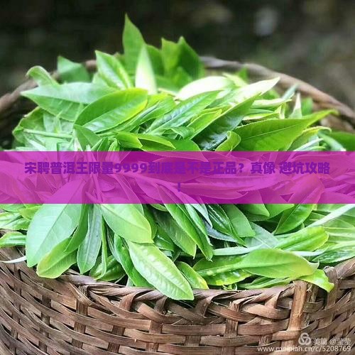 宋聘普洱王限量9999正品包装