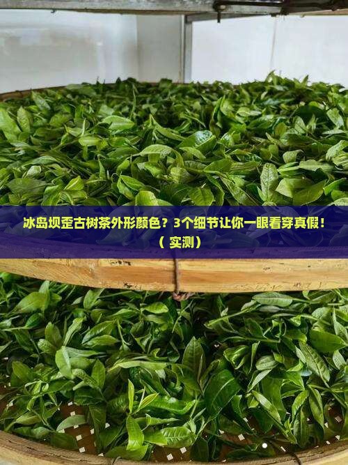 冰岛坝歪古树茶外形颜色
