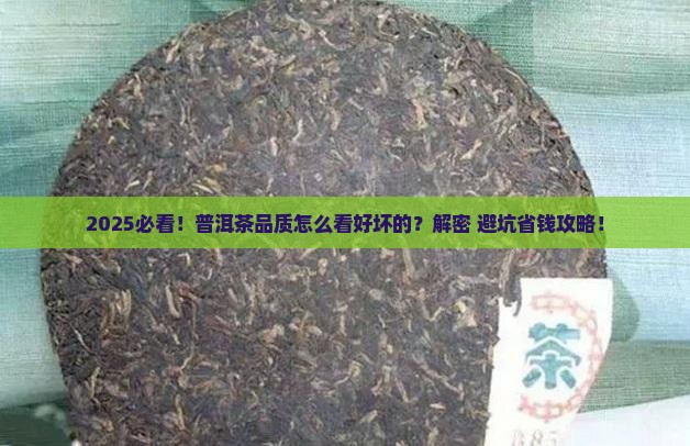 普洱茶品质怎么看好坏的