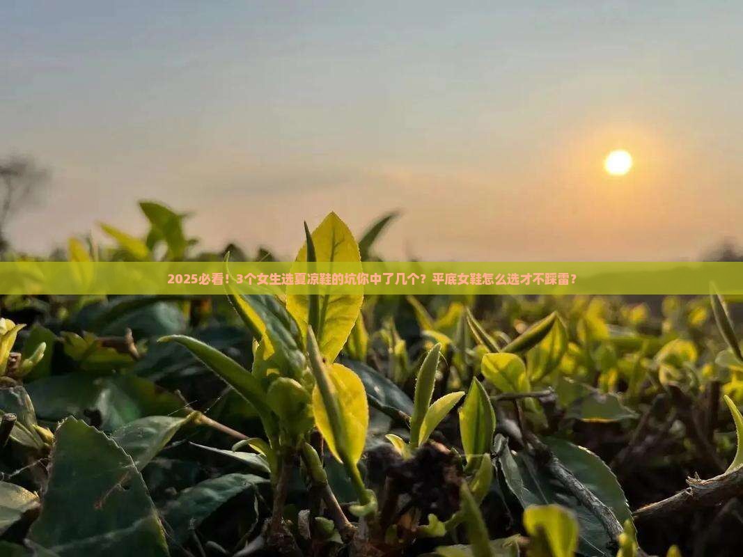 普洱茶品牌女鞋夏凉鞋平底