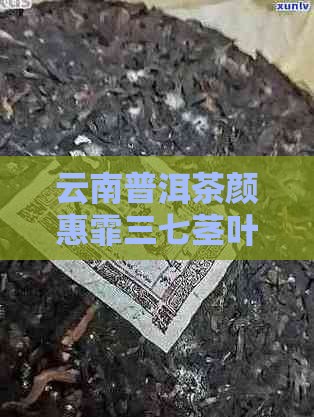 颜惠霏三七茎叶普洱茶