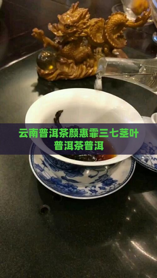 颜惠霏三七茎叶普洱茶