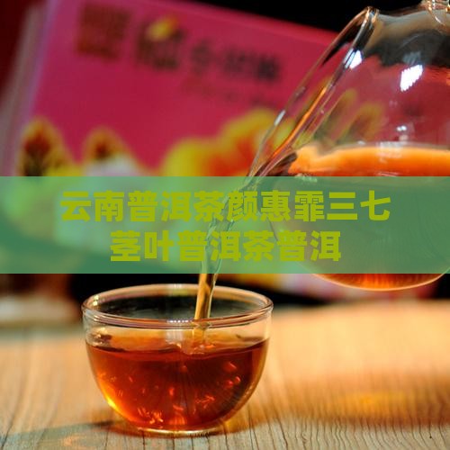 颜惠霏三七茎叶普洱茶