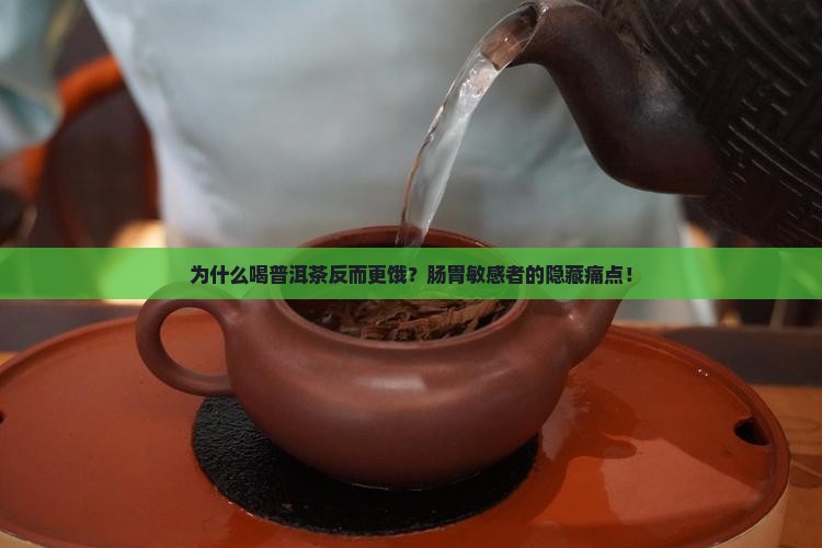 为什么喝普洱茶感觉老饿