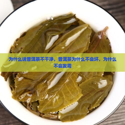 为什么说普洱茶不干净