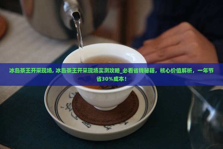 冰岛茶王开采现场