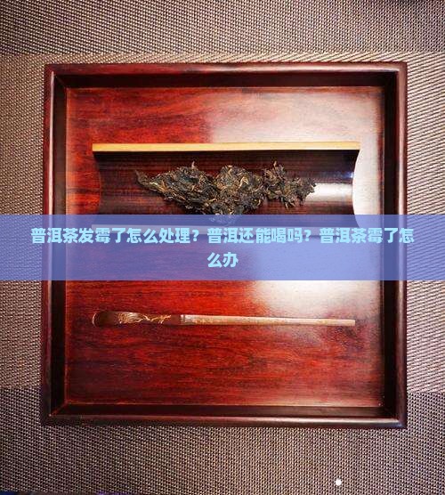 普洱茶放久了变霉了