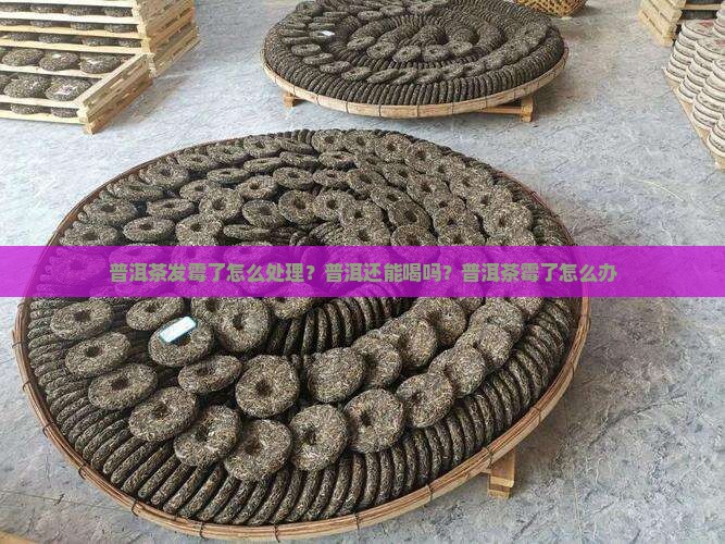 普洱茶放久了变霉了