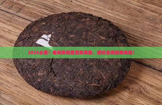 老树茶和普洱茶