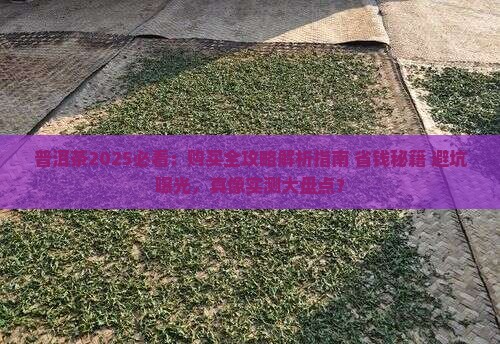 普洱茶免责声明