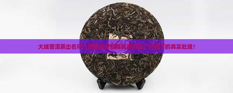 大域普洱茶出名吗现在怎么样了