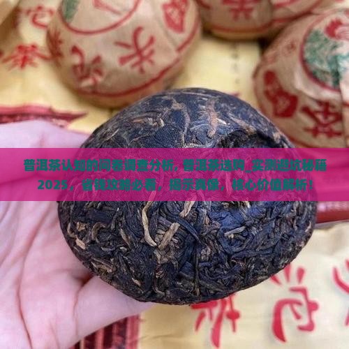 普洱茶认知的问卷调查分析