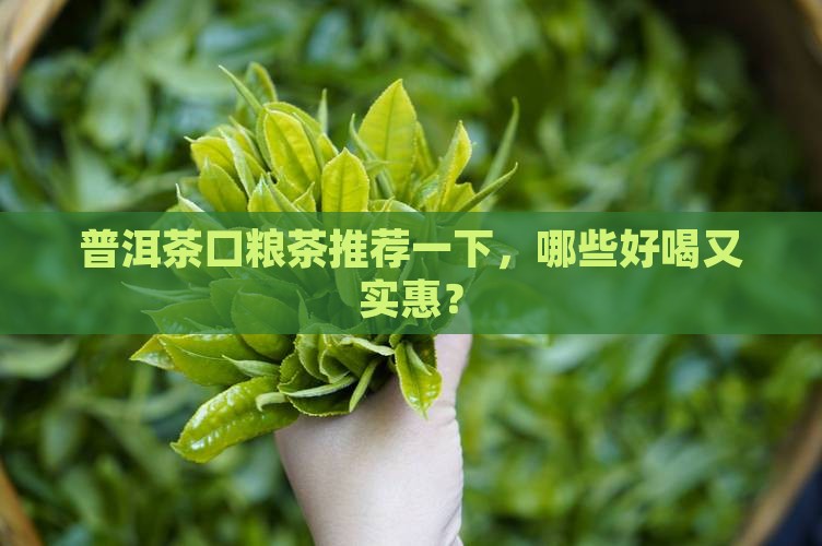 普洱茶品牌口粮茶推荐一下