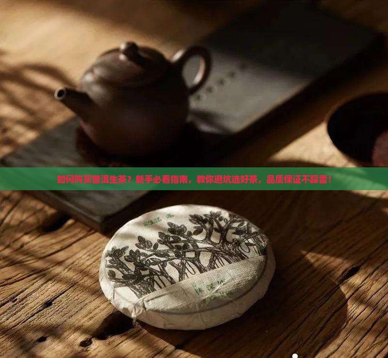 如何购买普洱生茶