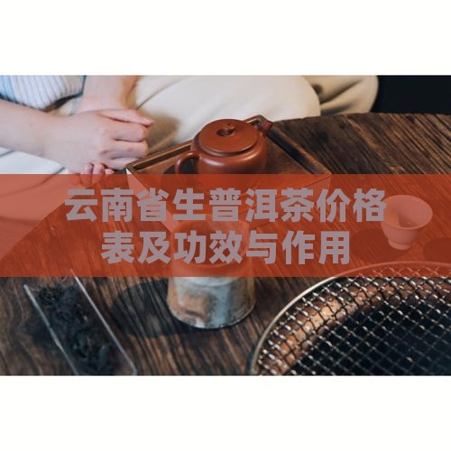 云南省生普洱茶