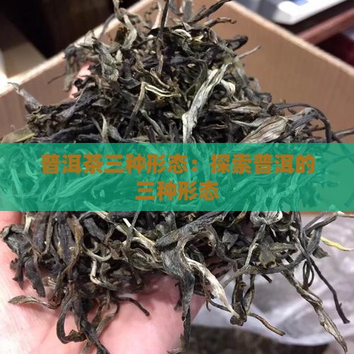 普洱茶三种形态